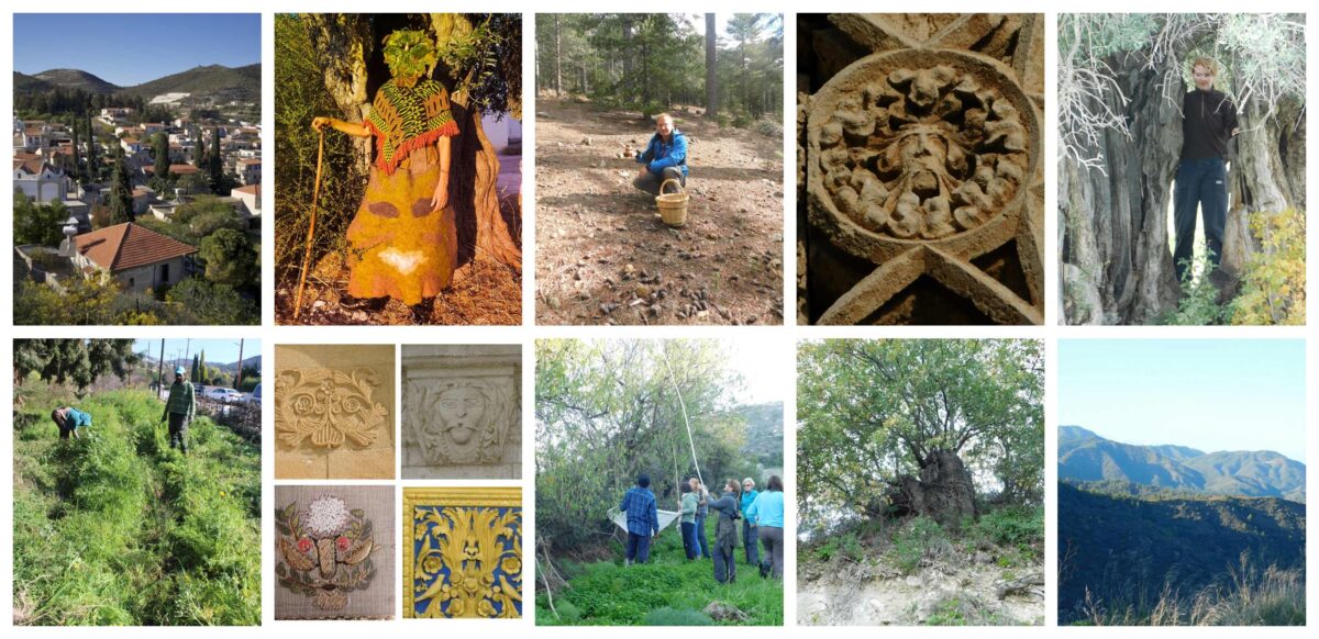 PEATS Cyprus- Working with Nature Trees and Forests in Cyprus (Oct 23)